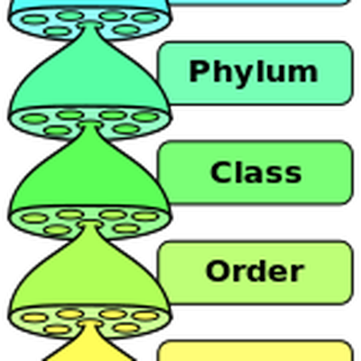 ib biology ecology coursework ib biology ecology coursework