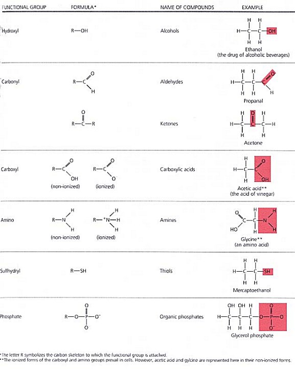 Worksheets Functional Groups Worksheet collection of functional groups worksheet sharebrowse sharebrowse