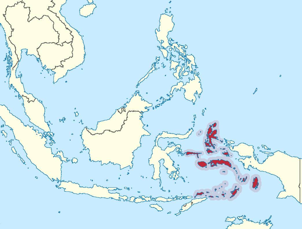 Download this Maluku Islands Map picture