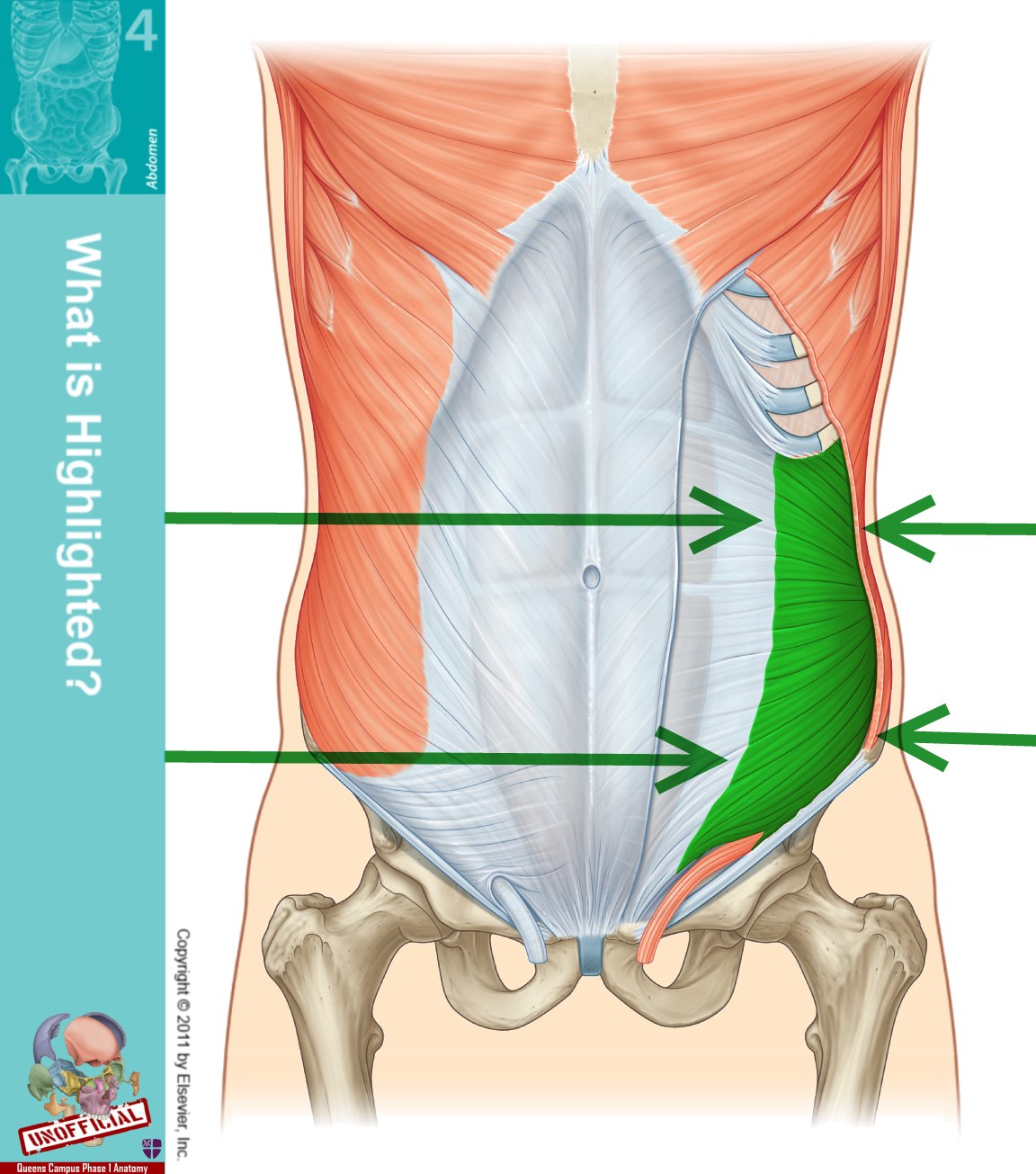 Level 47 - Durham University Medicine (Year One), - Memrise