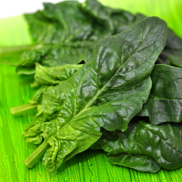 Level 11 Dictionnaire visuel français, visual dictionary French basic LTC dictionnaire visuel