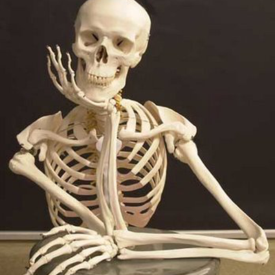 Level 1 Conhecendo O Cranio 1 O Neurocranio Ossos Do Esqueleto H Memrise