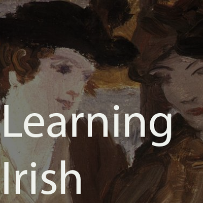 Learning Irish Workbook - by RobertKaucher - Memrise