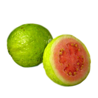 Level 11 Maps Google Guava Library Memrise Level 11 Maps Google Guava Library Memrise