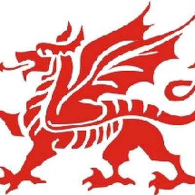Online Step-by-Step Welsh for Beginners Course by Memrise