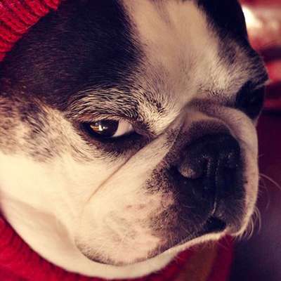 Memrise profile picture for @qdd