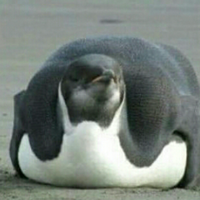 Memrise profile picture for @Calories