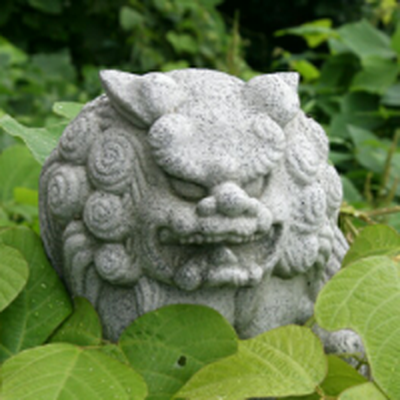 Memrise profile picture for @templedog