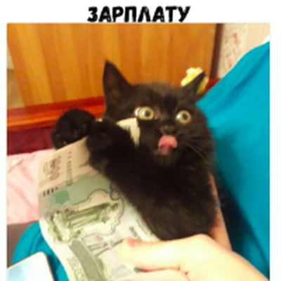 Memrise profile picture for @ADEPT