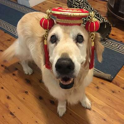 Memrise profile picture for @Failly