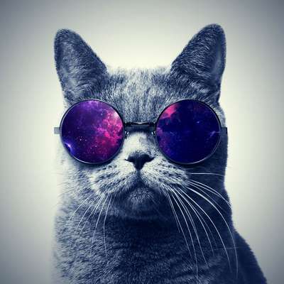 Memrise profile picture for @Inspiring