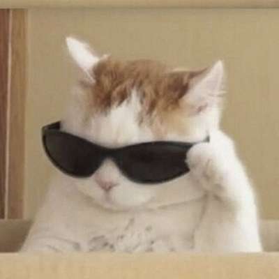 Memrise profile picture for @Kwiii