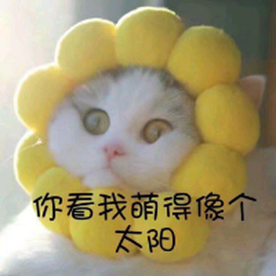 Memrise profile picture for @Crushing