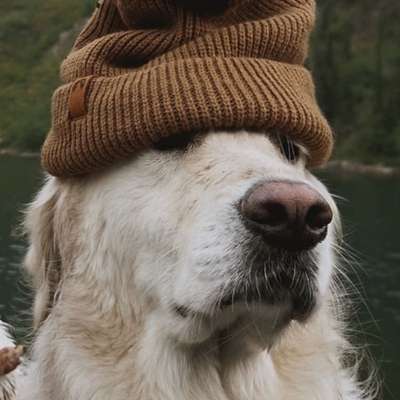 Memrise profile picture for @valleys
