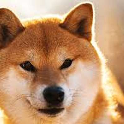 Memrise profile picture for @deploy