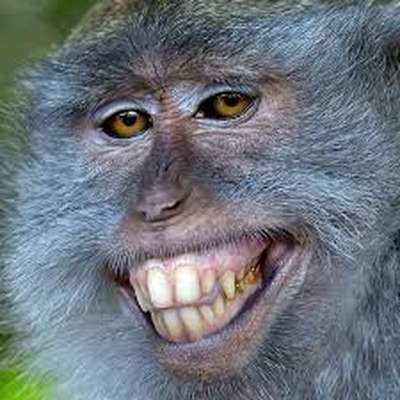 Memrise profile picture for @Situ