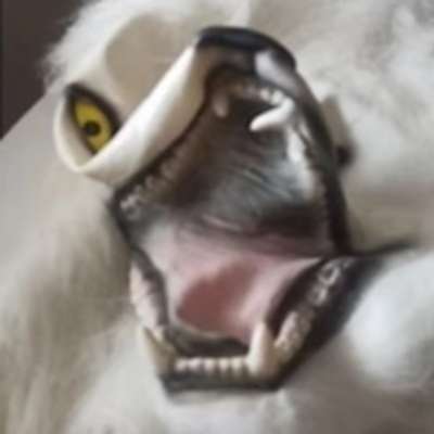 Memrise profile picture for @Notification