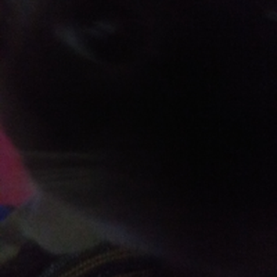 Memrise profile picture for @Predu