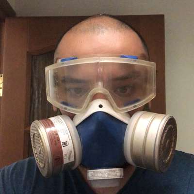 Memrise profile picture for @Fakesoul