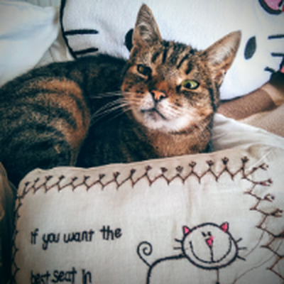 Memrise profile picture for @Dribbles