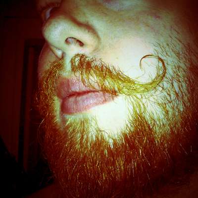 Memrise profile picture for @Amen