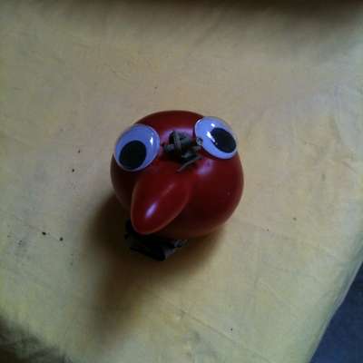 Memrise profile picture for @Bungee