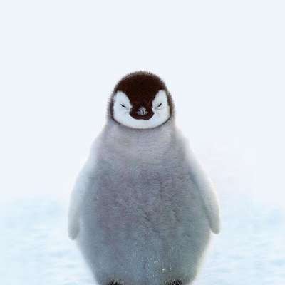 Memrise profile picture for @Flippers