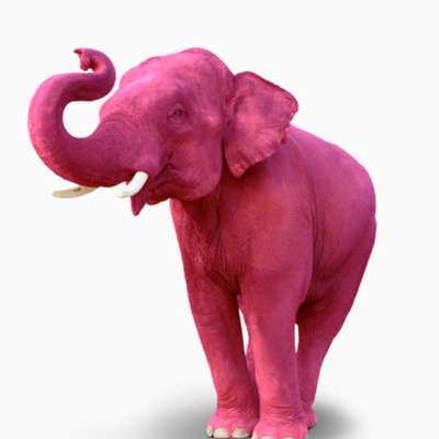 Memrise profile picture for @Yoga