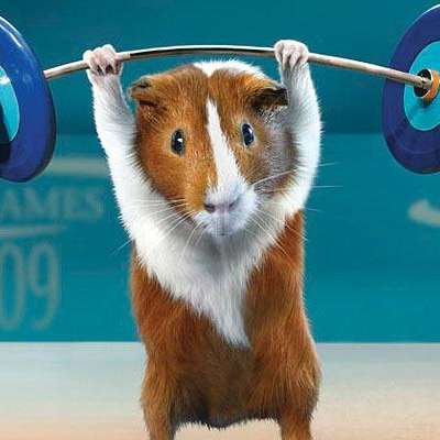 Memrise profile picture for @Guinea