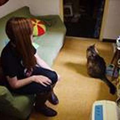Memrise profile picture for @Kittens