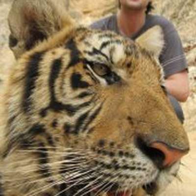 Memrise profile picture for @Mark