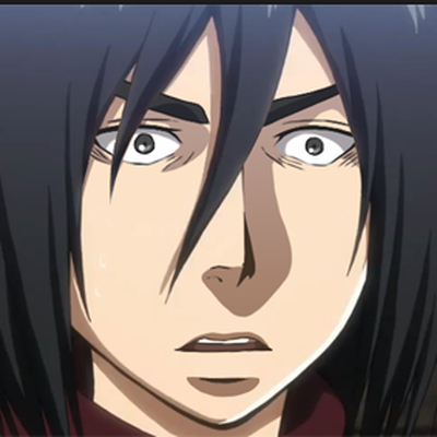 Memrise profile picture for @Mikasa