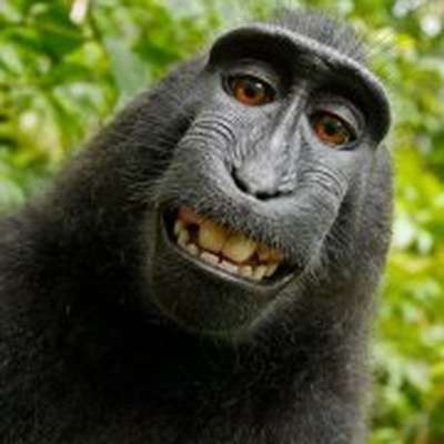 Memrise profile picture for @Milan