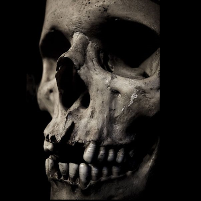 Memrise profile picture for @Murderer