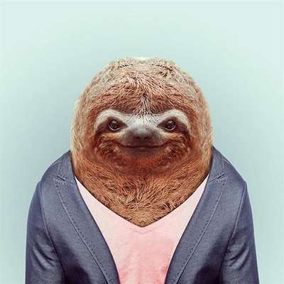Memrise profile picture for @Necmi