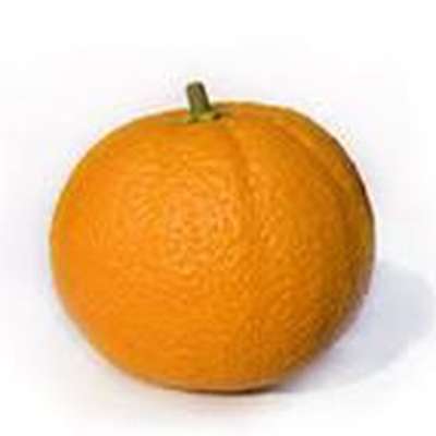 Memrise profile picture for @Nevin