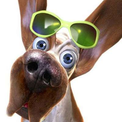 Memrise profile picture for @Nick