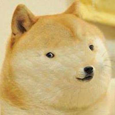 Memrise profile picture for @Nie