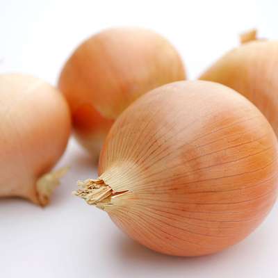Memrise profile picture for @Onions