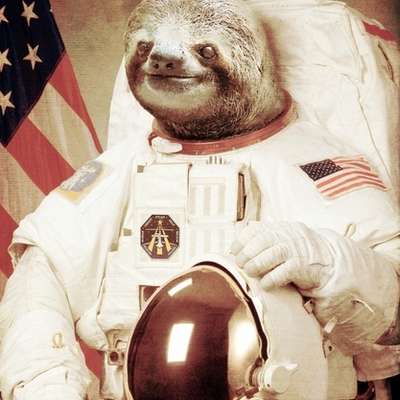 Memrise profile picture for @PIVOT