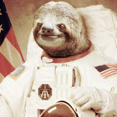 Memrise profile picture for @Provolone