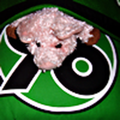Memrise profile picture for @Roadie