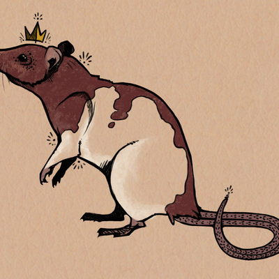 Memrise profile picture for @Sacrifice