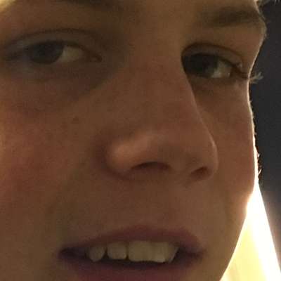 Memrise profile picture for @Sodomy