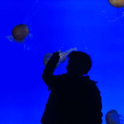 Memrise profile picture for @Struggling