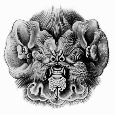 Memrise profile picture for @Stuck