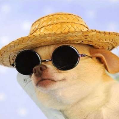Memrise profile picture for @Tragic