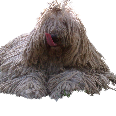 Memrise profile picture for @abDomen
