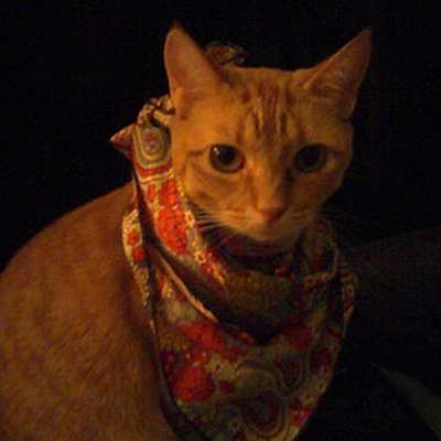Memrise profile picture for @blithely