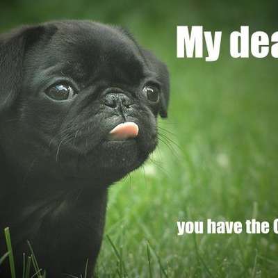 Memrise profile picture for @briggs